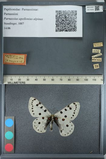Media type: image;   Entomology 174230